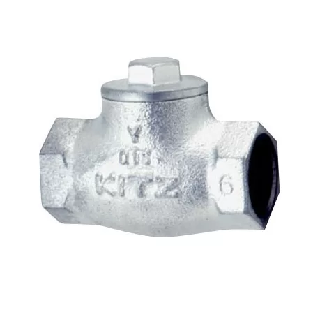 Van một chiều hơi nối ren 10SF