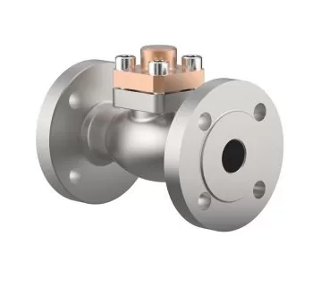 Van một chiều nối bích, PN50, type 05418