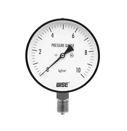 ĐỒNG HỒ ÁP SUẤT P110